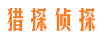 桃城市场调查